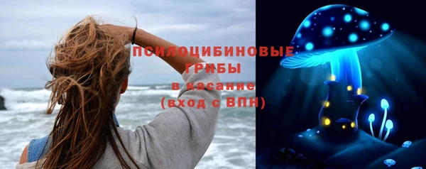 каннабис Богданович