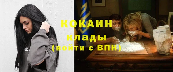 трава Богородицк