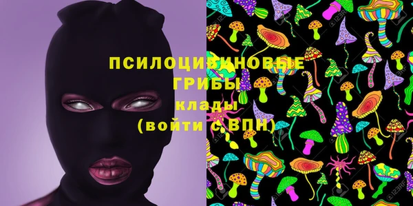 каннабис Богданович