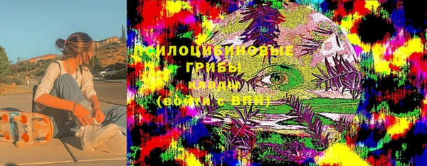 трава Богородицк