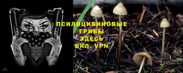 трава Богородицк
