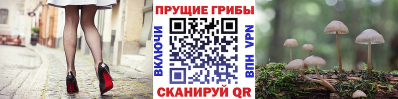 Галлюциногенные грибы мухоморы  площадка какой сайт  Кологрив 