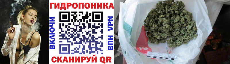 купить  сайты  Кологрив  Марихуана Bruce Banner 